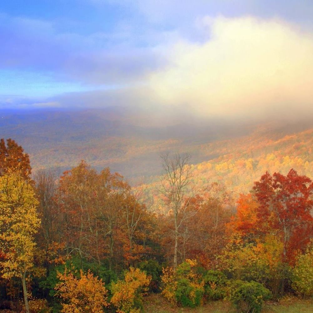 Amicalola Falls State Park And Lodge Dawsonville Exterior foto